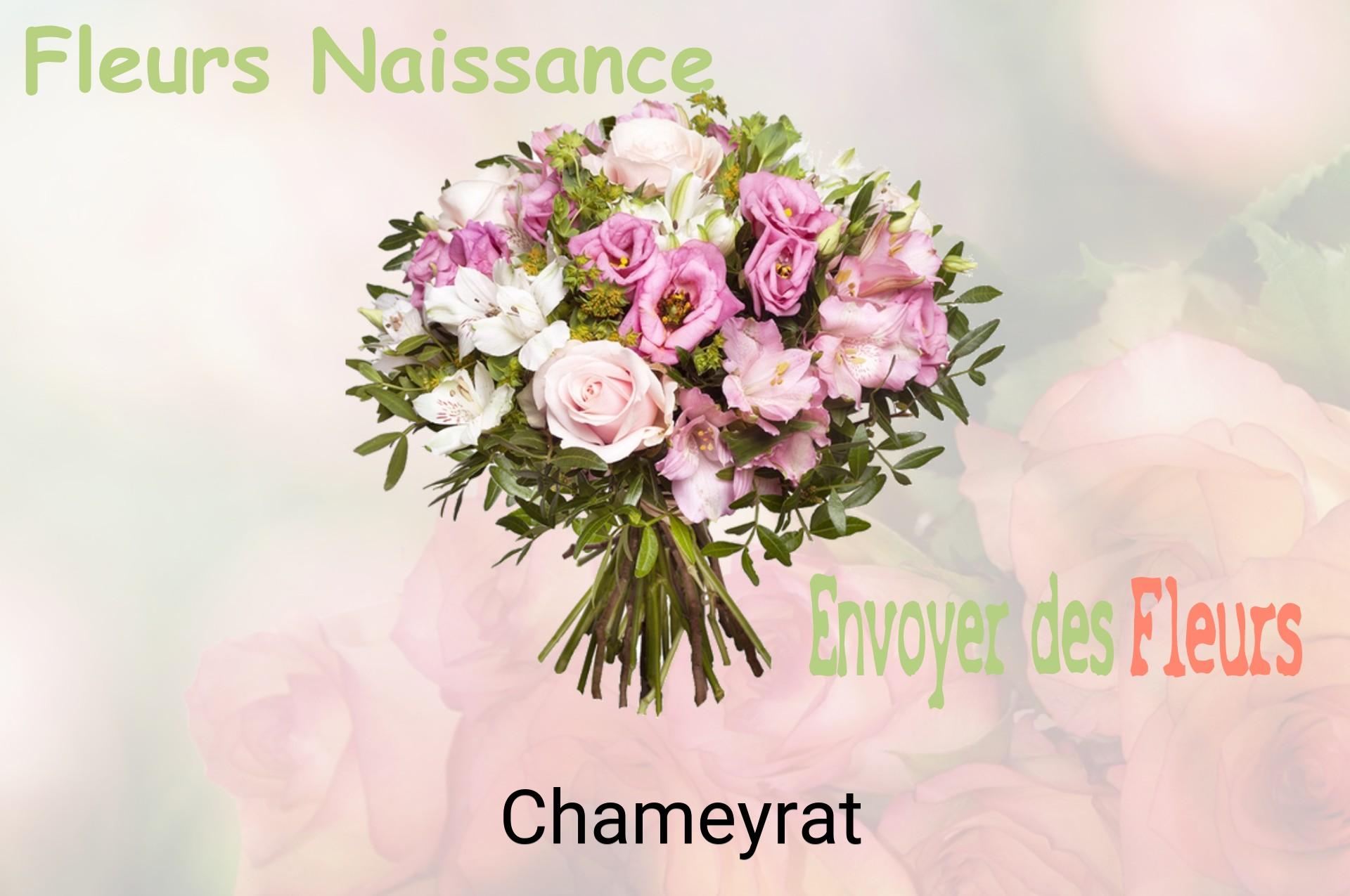 Bouquet de fleurs de naissance livré à Chameyrat
