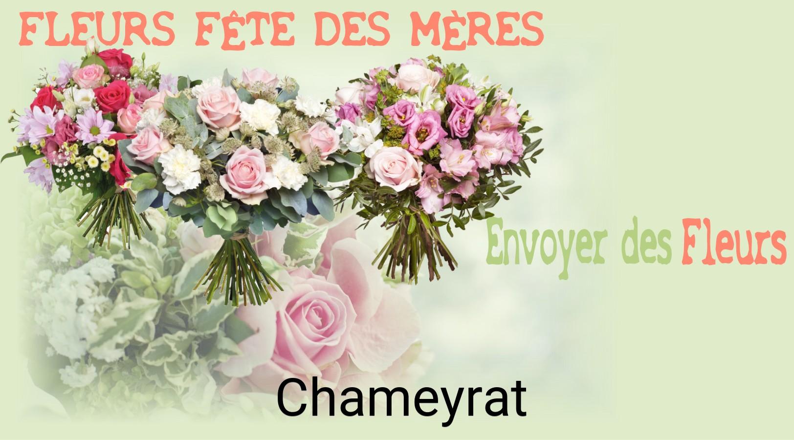 Bouquet de Fête des Mères livré à Chameyrat